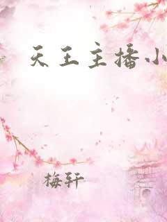 天王主播小说