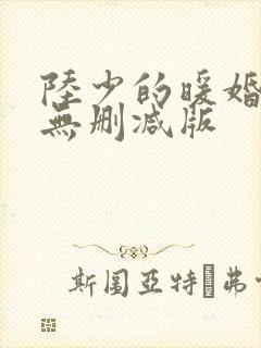 陆少的暖婚新妻无删减版