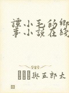 谭小毛的乡村韵事小说在线阅读