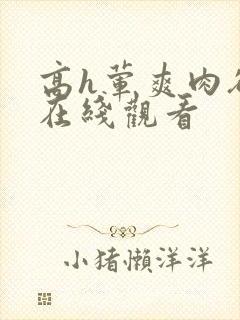 高h荤爽肉欲文在线观看