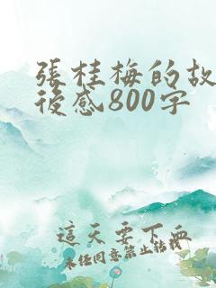 张桂梅的故事读后感800字