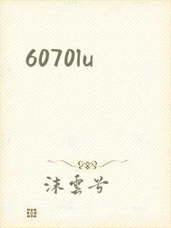 6070lu