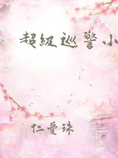 超级巡警小说