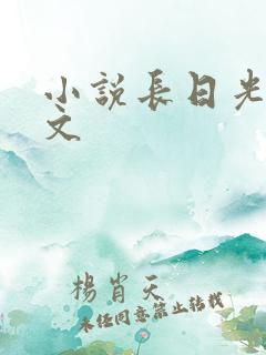 小说长日光阴全文