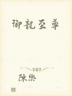 御龙至尊