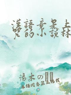 汉语竟是上古禁咒的小说林辰永恒宗