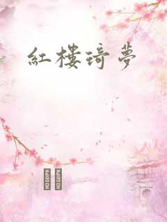 红楼琦梦