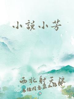 小说小芳