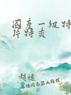 国产一级特黄大片特爽