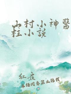山村小神医王铁柱小说