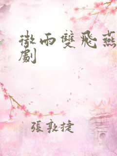 微雨双飞燕电视剧