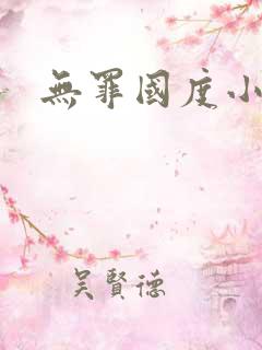 无罪国度小说