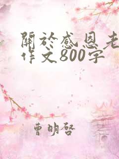 关于感恩老师的作文800字