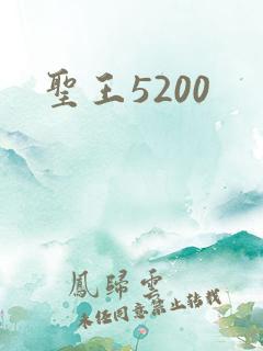 圣王5200