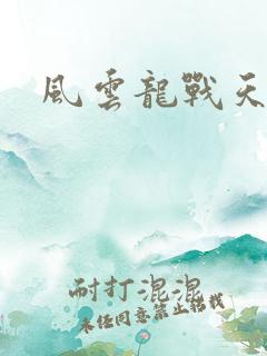 风云龙战天下