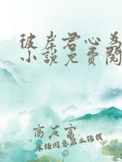 彼岸君心为我倾小说免费阅读