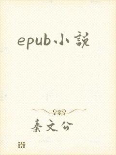 epub小说