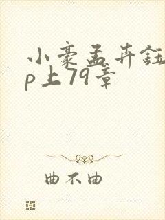 小豪孟卉钰慧三p上79章