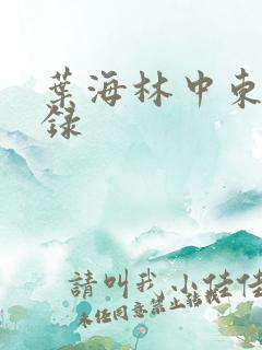 叶海林中东风云录