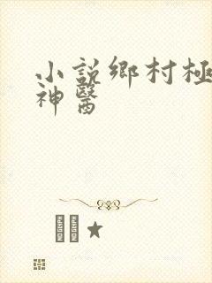 小说乡村极品小神医
