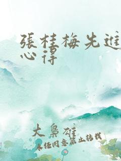 张桂梅先进事迹心得