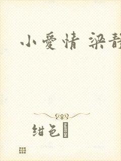 小爱情 梁静茹