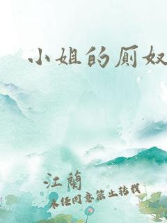 小姐的厕奴
