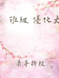 班级 优化大师
