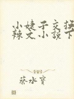 小婕子交换系列辣文小说下载