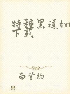 特种黑道txt下载