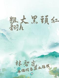 粗大黑头红肿外翻h