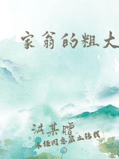 家翁的粗大