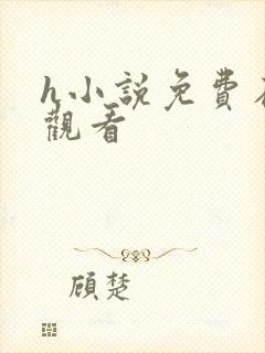 h小说免费在线观看