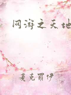 网游之天地2