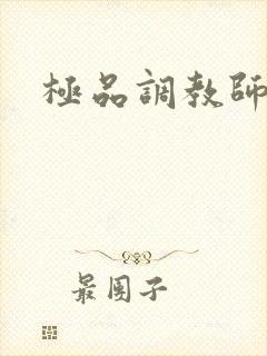 极品调教师