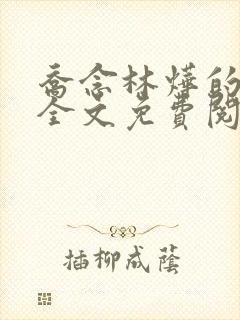 乔念林烨的小说全文免费阅读无弹窗
