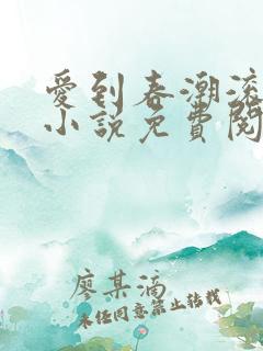 爱到春潮滚滚来小说免费阅读