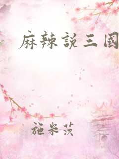 麻辣说三国