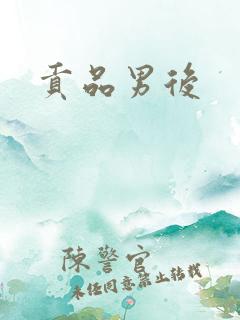 贡品男后