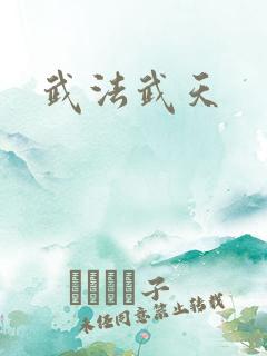 武法武天