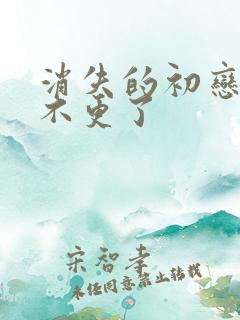消失的初恋为啥不更了