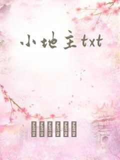 小地主txt