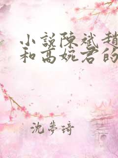 小说陈斌赵心媚和高婉君的小说免费阅读