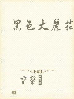 黑色大丽花图片