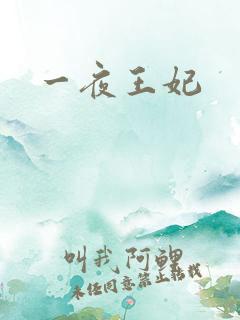 一夜王妃