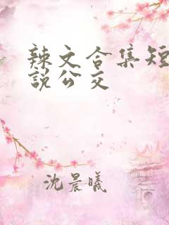 辣文合集短篇小说公交