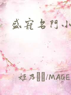 盛宠名门小夫人