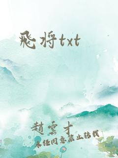 飞将txt
