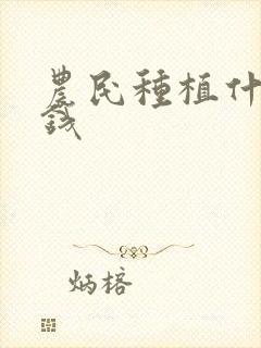 农民种植什么挣钱