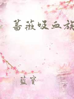 蔷薇吸血族